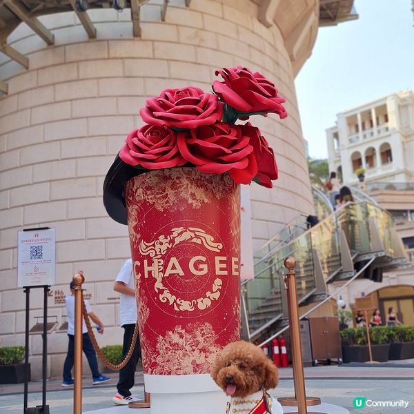 霸王茶姬1881茶友限定店嘉年華登場！💖