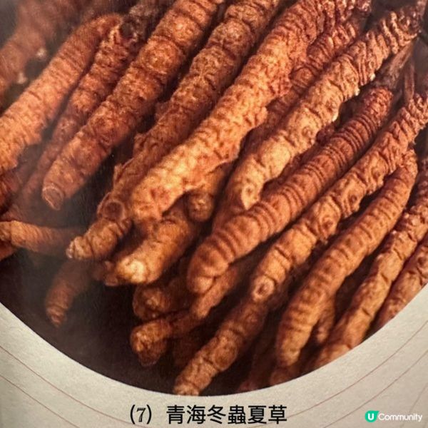 饗在青海・滋補家宴
