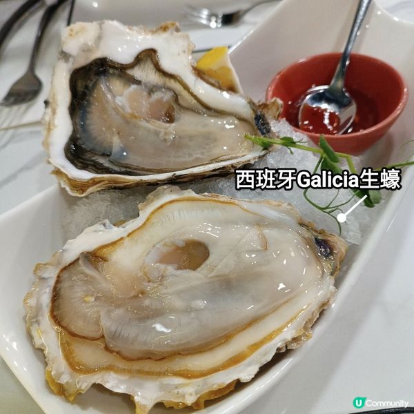 深水埗西餐廳新發現🤩 C2 Lab