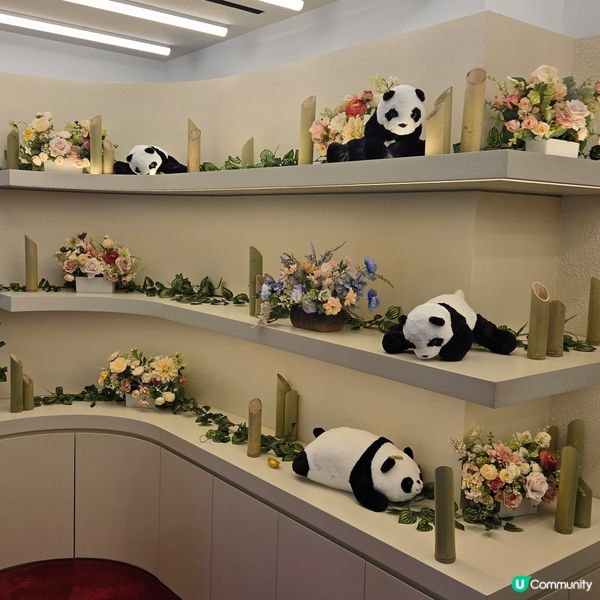 世貿中心可愛熊貓🐼打卡位