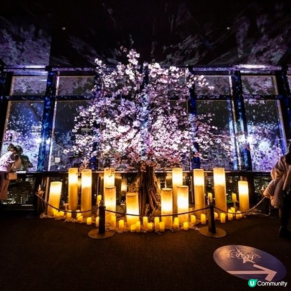 東京鐵塔春之協奏曲