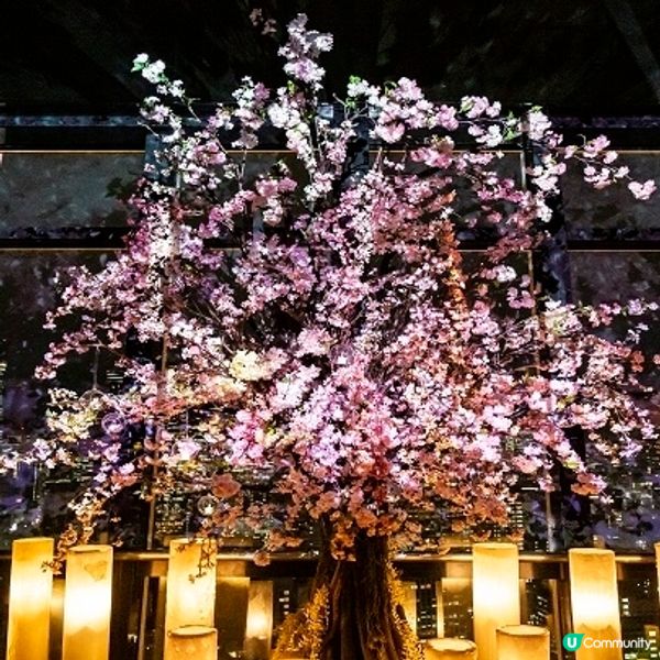 東京鐵塔春之協奏曲