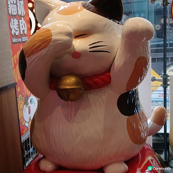 豉油街 貓抓烤肉 38蚊午餐 🙀  伏唔伏？