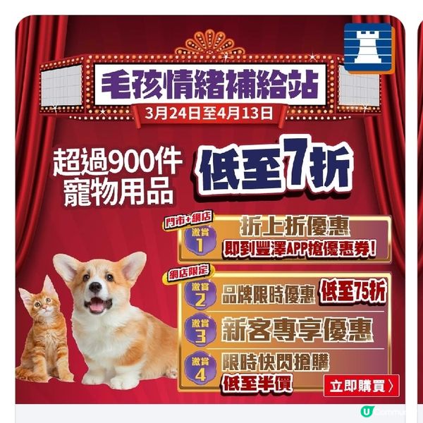 豐澤春日寵物節