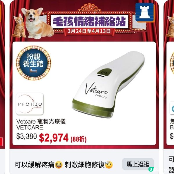 豐澤春日寵物節