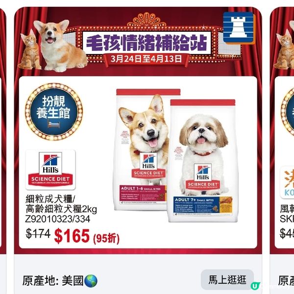 豐澤春日寵物節