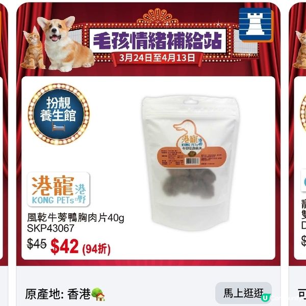 豐澤春日寵物節