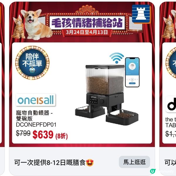 豐澤春日寵物節