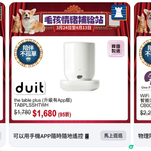 豐澤春日寵物節