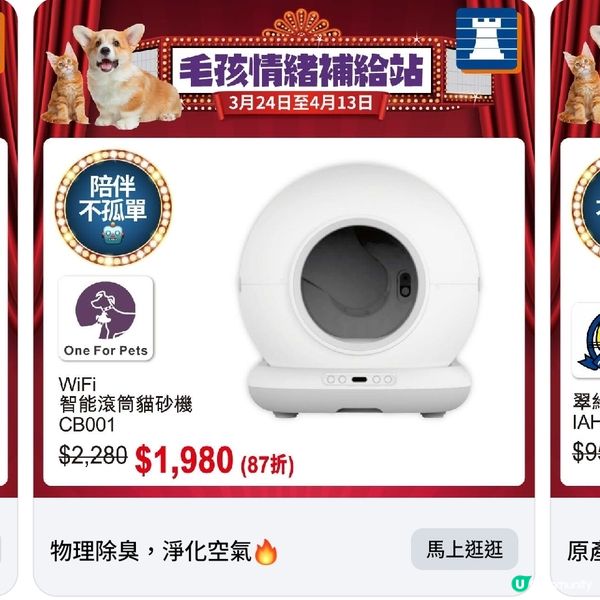 豐澤春日寵物節