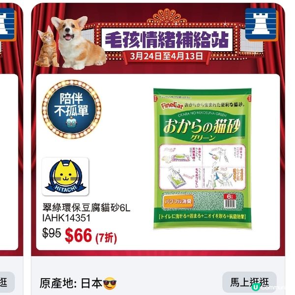 豐澤春日寵物節