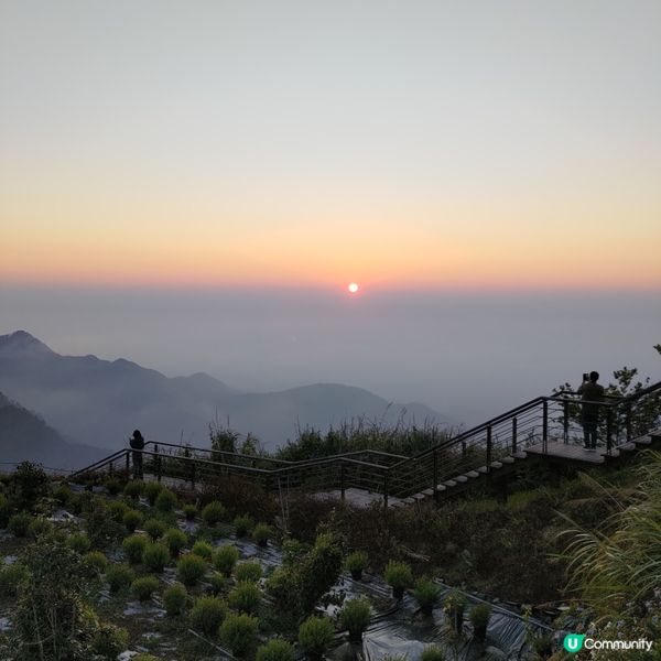 台灣阿里山必去隱世打卡點🔥二延平步道超唯美日落景色🌄💜