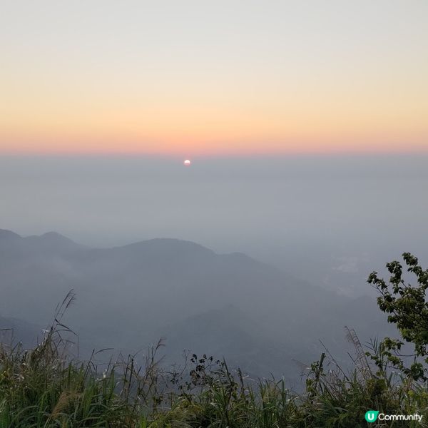 台灣阿里山必去隱世打卡點🔥二延平步道超唯美日落景色🌄💜