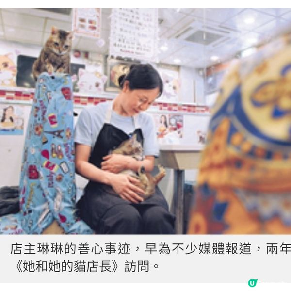 油麻地貓店長茶餐廳將結業 善心女店主不放棄為貓尋領養