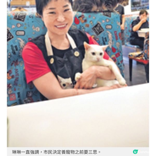 油麻地貓店長茶餐廳將結業 善心女店主不放棄為貓尋領養