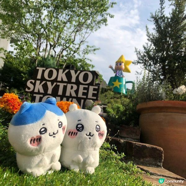 佢哋一齊玩遊戲，真係好搞笑，忍唔住想笑出聲！