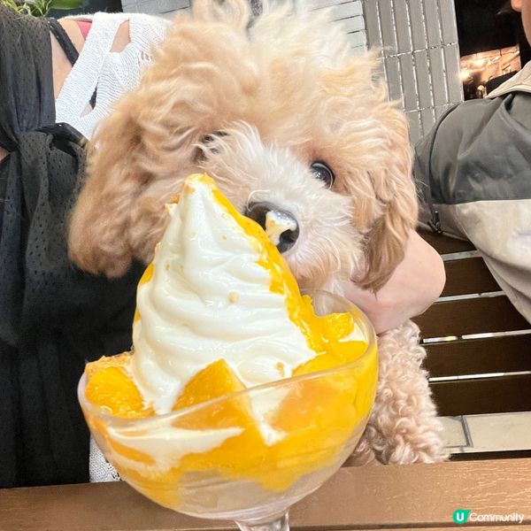 【錦田💕女生嘅大飯堂】照顧女生第二個胃