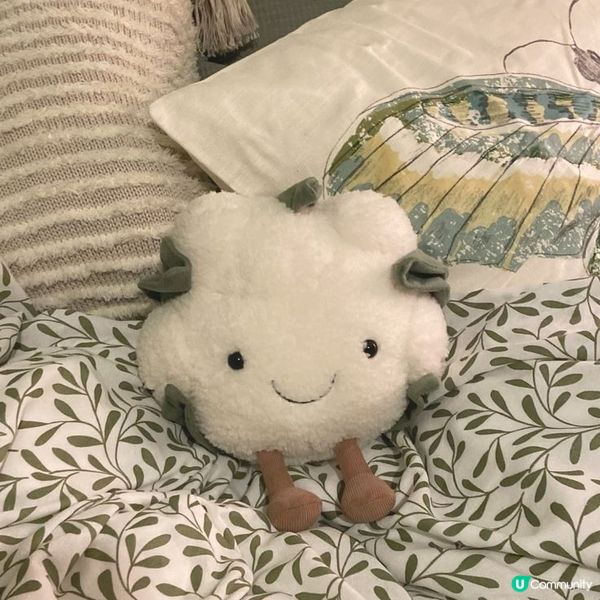 Jellycat公仔係咪專為我哋設計㗎？🤷‍♂️ 因為佢真係...