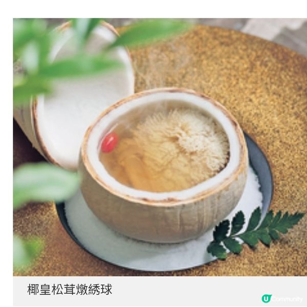 尚海薈進駐灣仔地標 滬粵融合的匠心盛宴