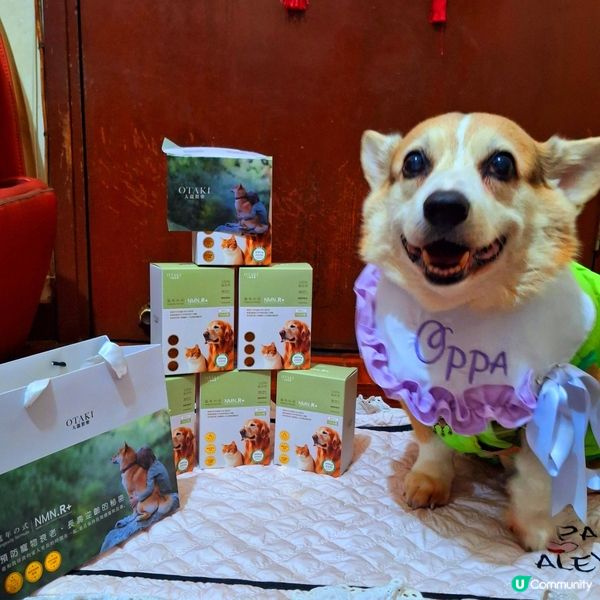 🐶 日本製藥級寵物保健品 🇯🇵