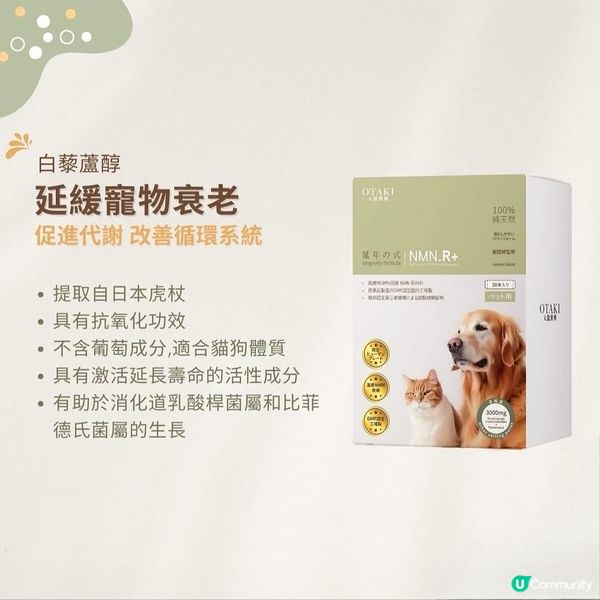 🐶 日本製藥級寵物保健品 🇯🇵