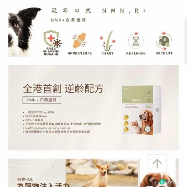 🐶 日本製藥級寵物保健品 🇯🇵