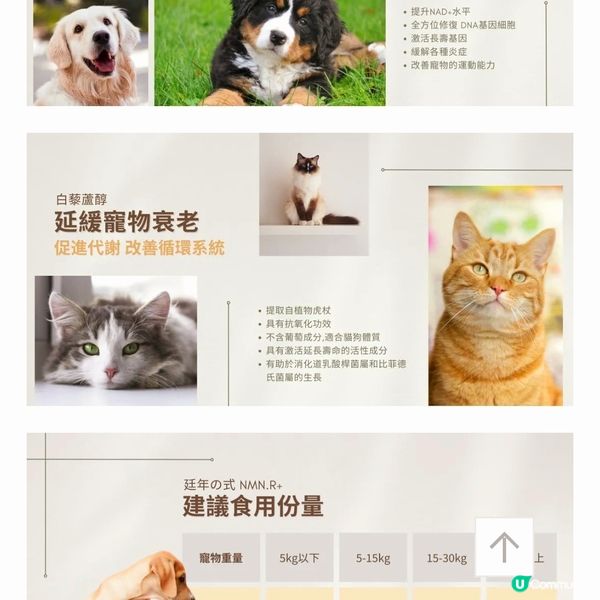 🐶 日本製藥級寵物保健品 🇯🇵