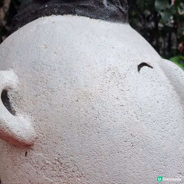 為何他的頭上生了一根草