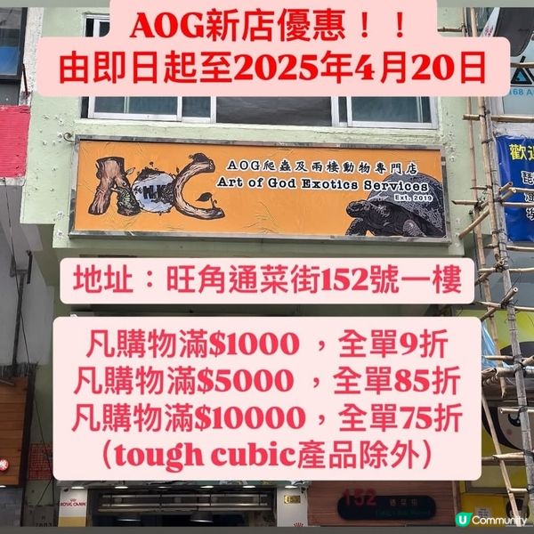 Art of God ExoticsServices新店優惠