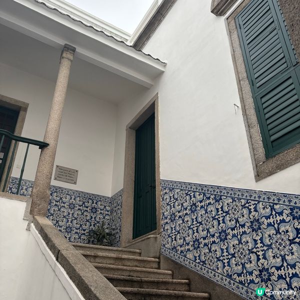 ## 澳門隱世寶藏🤫  液體葡撻飲🤤