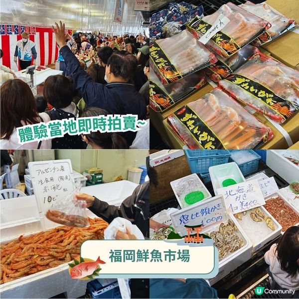 三日兩夜玩盡福岡✈️食玩打卡行程懶人包