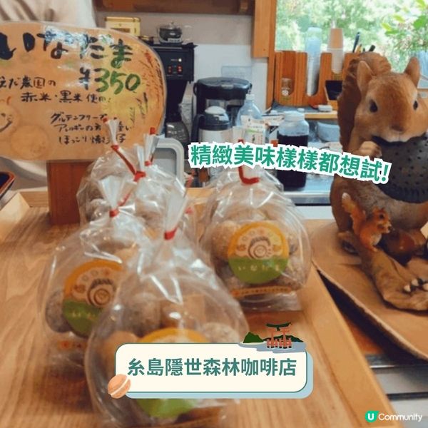 三日兩夜玩盡福岡✈️食玩打卡行程懶人包