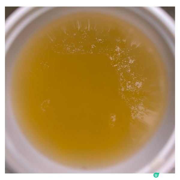 山上自由奔放貢花雞肉質香濃結實