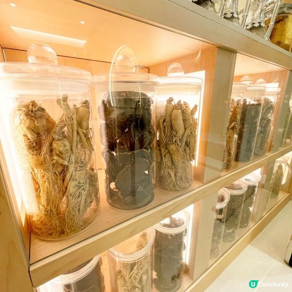 Magic Hair 韓式養髮舍