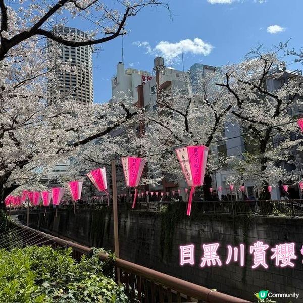 東京賞櫻一定要到的景點