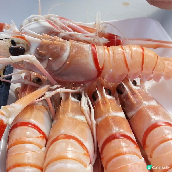 澳元低水位！去澳洲玩抵到爛！🦐🇦🇺