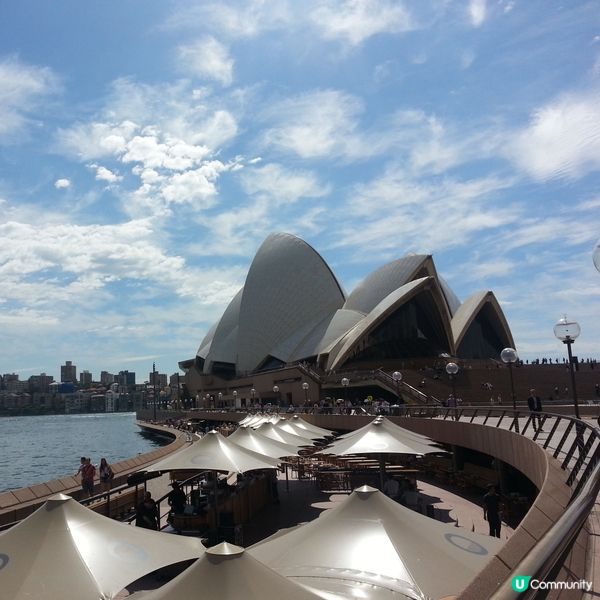 澳元低水位！去澳洲玩抵到爛！🦐🇦🇺