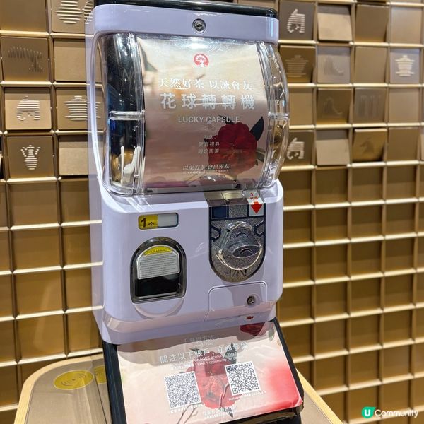 新品！尋香山茶🍃