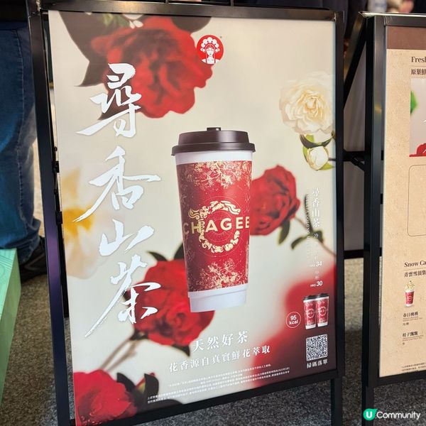 新品！尋香山茶🍃