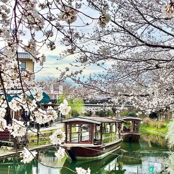 京都伏見十石舟