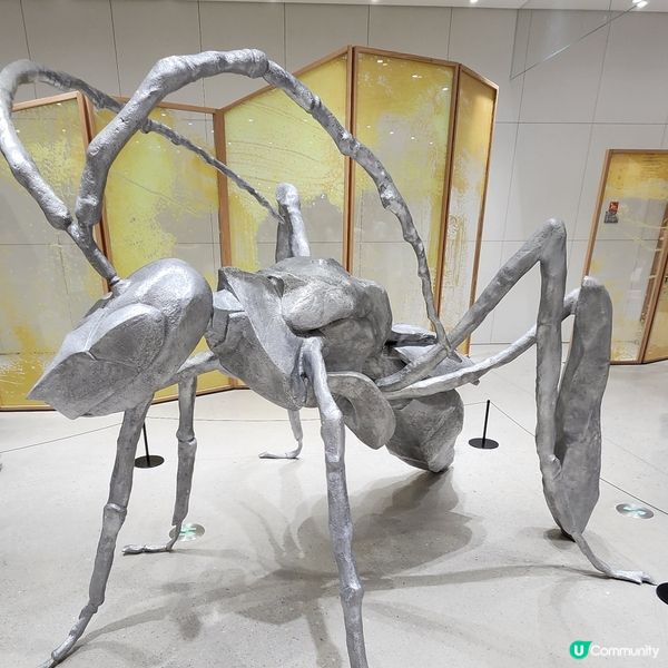 💥深圳巨人展，😱打卡必去‼️🤩不用再預約啦‼️🥰