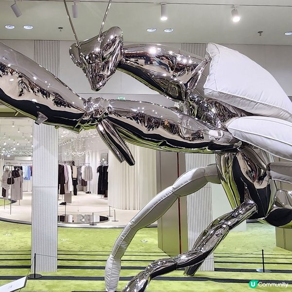 💥深圳巨人展，😱打卡必去‼️🤩不用再預約啦‼️🥰