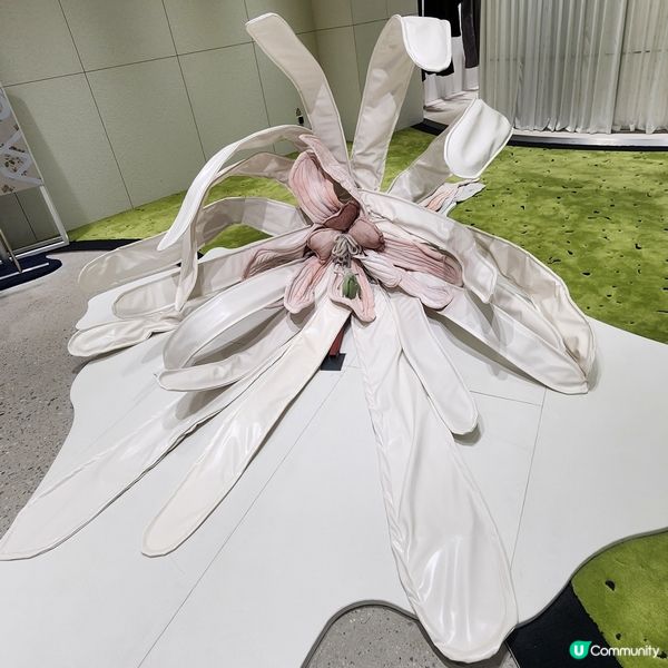 💥深圳巨人展，😱打卡必去‼️🤩不用再預約啦‼️🥰