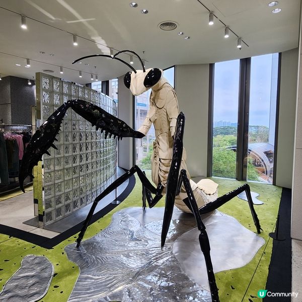 💥深圳巨人展，😱打卡必去‼️🤩不用再預約啦‼️🥰