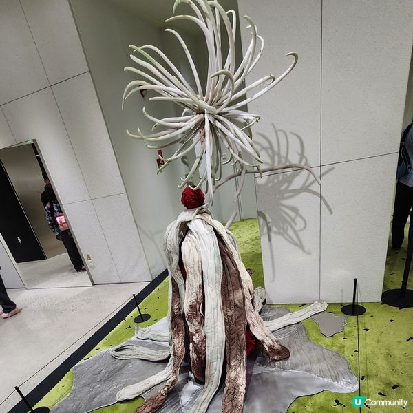 💥深圳巨人展，😱打卡必去‼️🤩不用再預約啦‼️🥰