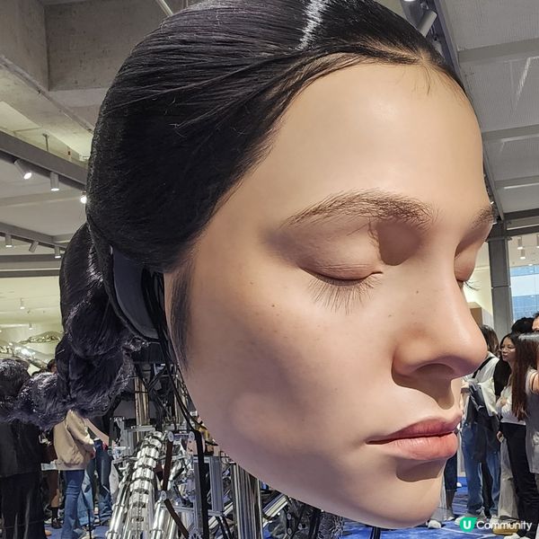 💥深圳巨人展，😱打卡必去‼️🤩不用再預約啦‼️🥰