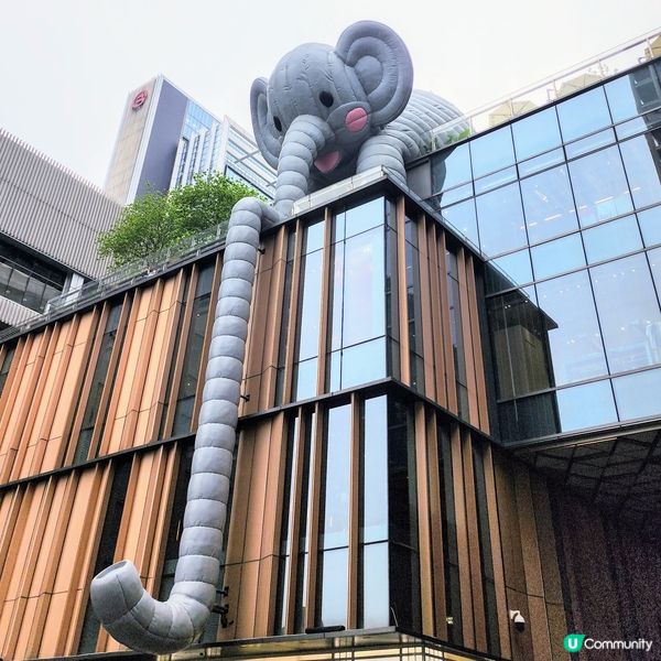 💥深圳巨人展，😱打卡必去‼️🤩不用再預約啦‼️🥰