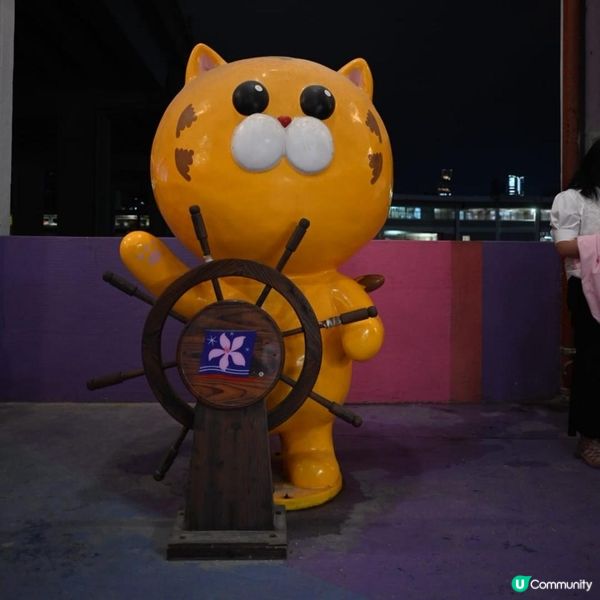 洋紫荊維港遊：美食與夜景的浪漫海上之旅