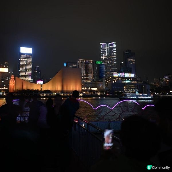 洋紫荊維港遊：美食與夜景的浪漫海上之旅