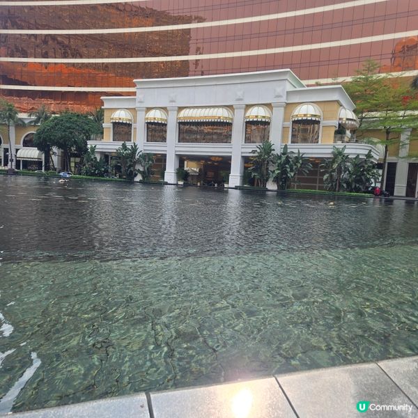 #澳門必食 #澳門必買 #澳門必玩 #澳門打卡 #葡撻 #豬...